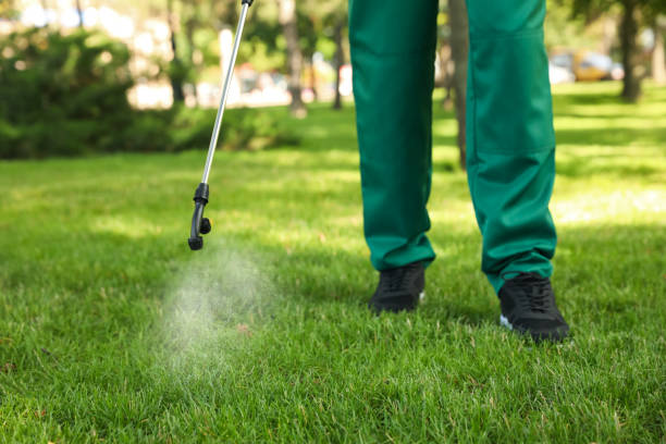 Pest Prevention Services in Redington Beach, FL