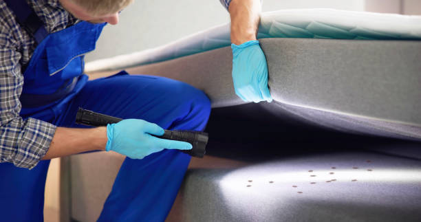 Best Commercial Pest Control Services  in Redington Beach, FL