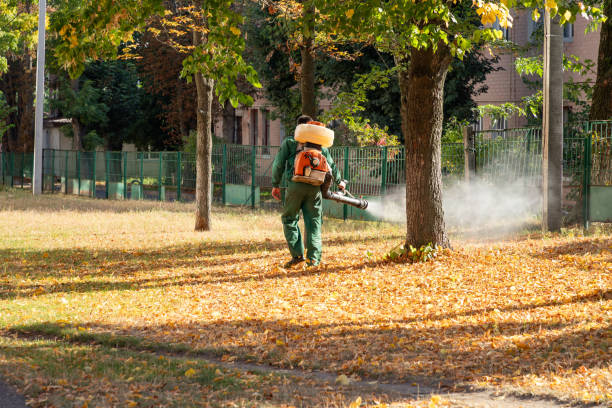Best Flea Control Services  in Redington Beach, FL